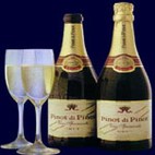 PINOT DI PINOT GANCIA CL 75